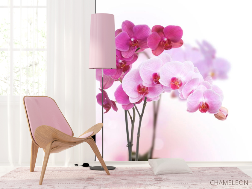 Фотообои Белые и розовые орхидеи - 4