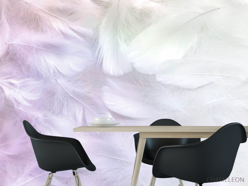Фотошпалери Білі пір'я з рожевим - 1