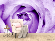 Фотообои Снежно-сиреневая роза - 4