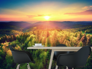 Фотошпалери захід сонця над сосновим лісом - 1