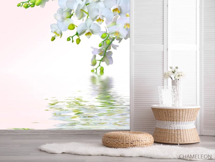 Фотошпалери Білосніжна омела - 2