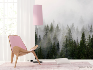 Фотошпалери ліс в тумані - 4