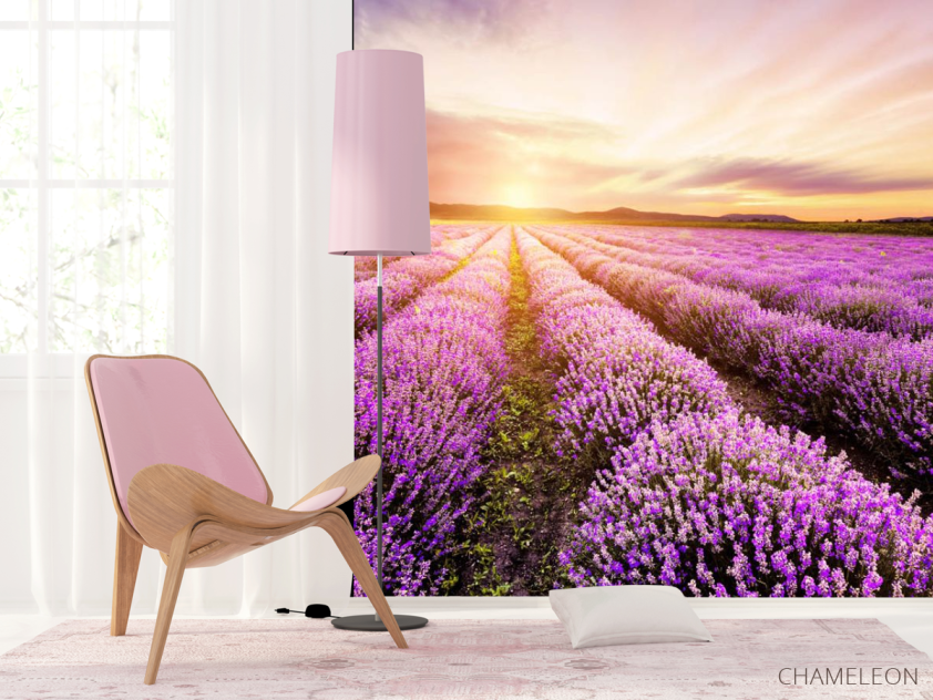 Фотошпалери Захід у лавандовом полі - 4