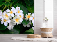 Фотошпалери Маленькі біленькі квіти - 2