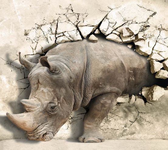 Фотообои носорог выходит со стены 18134