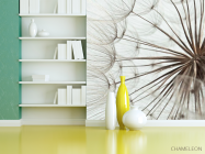 Фотошпалери Кульбаби крупний план - 3