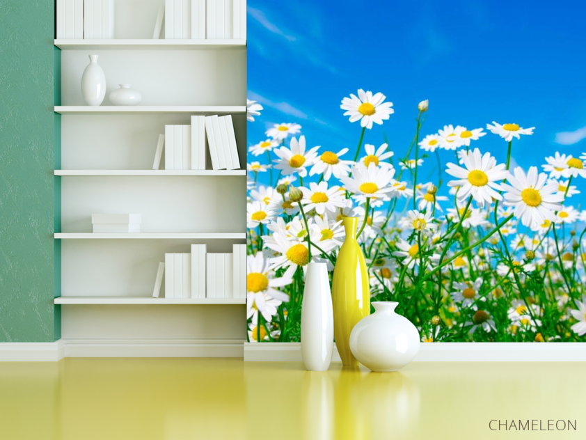 Фотошпалери Ромашки в полі - 3
