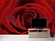 Фотообои красная бархатная роза - 2