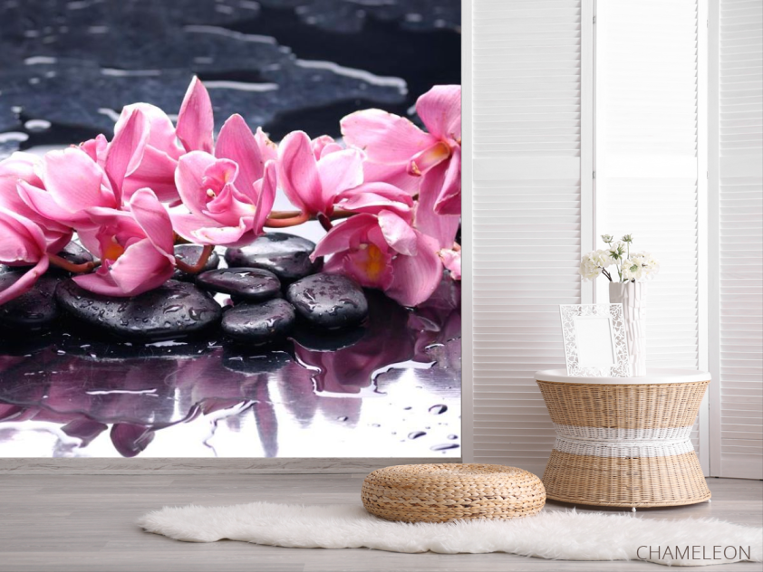 Фотошпалери Бузкові квіти і камені - 2