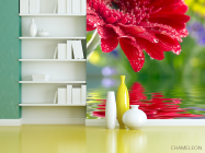 Фотошпалери червоний квітка над водою - 3