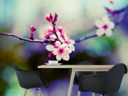 Фотошпалери Гілочка з рожевими квітами - 1