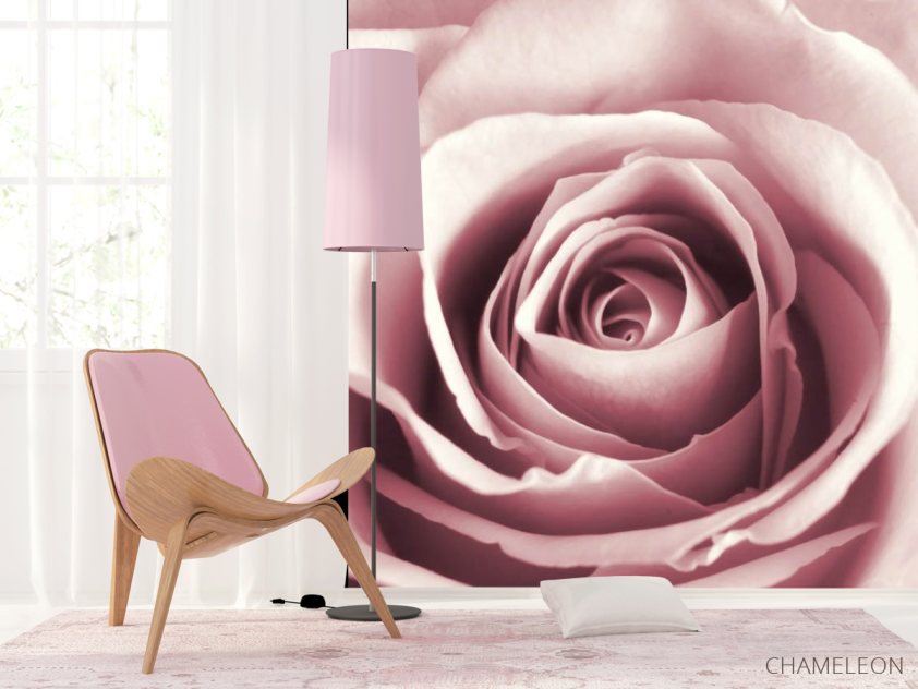 Фотошпалери бутон рожевої троянди - 4
