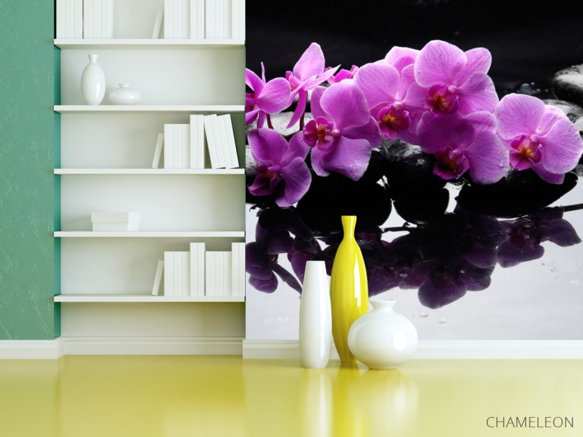 Фотошпалери Гілка орхідеї на каменях - 3