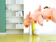 Фотошпалери Гілочка орхідей - 3