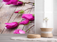 Фотошпалери Квітка сімейства бобових - 2