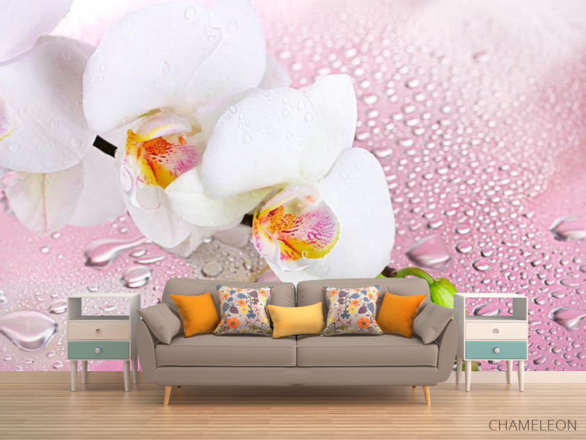 Фотообои Две белых орхидеи - 1