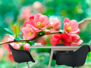 Фотошпалери Імбир кораловий - 1