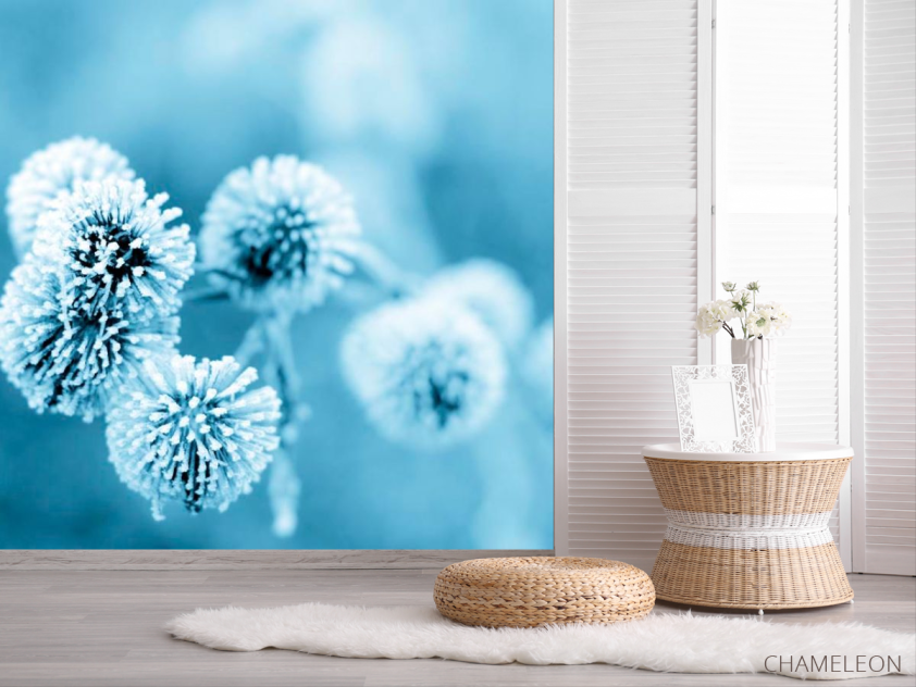 Фотошпалери Квіти в інеї - 2