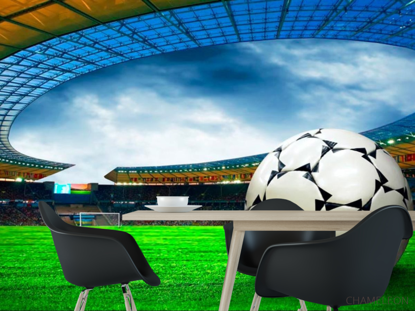 Фотошпалери Арена перед грою - 1