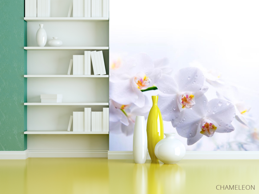 Фотообои Цветки белоснежные - 3