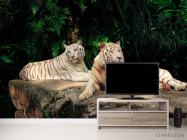Фотообои Семейство белых тигров - 2