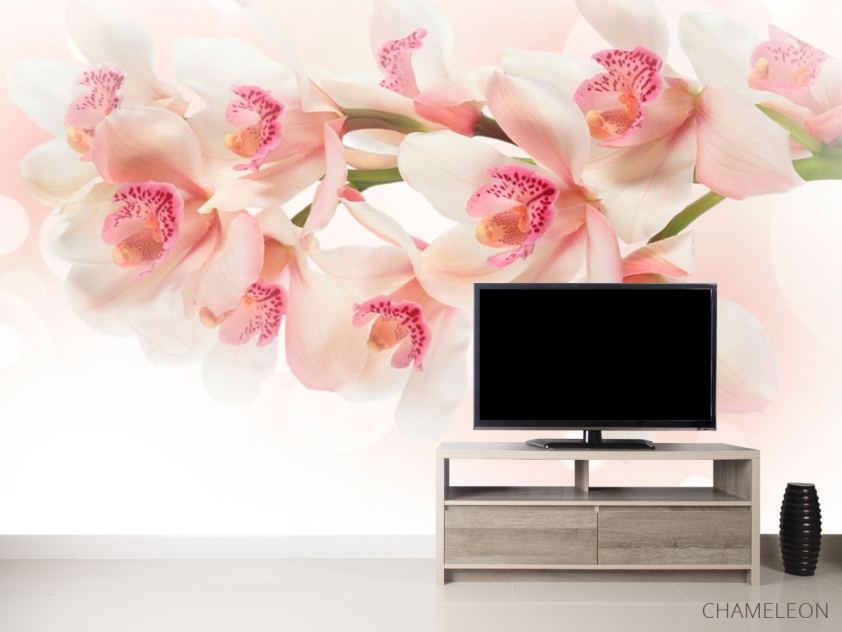 Фотообои Цветы - 2