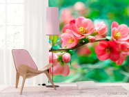 Фотошпалери Імбир кораловий - 4