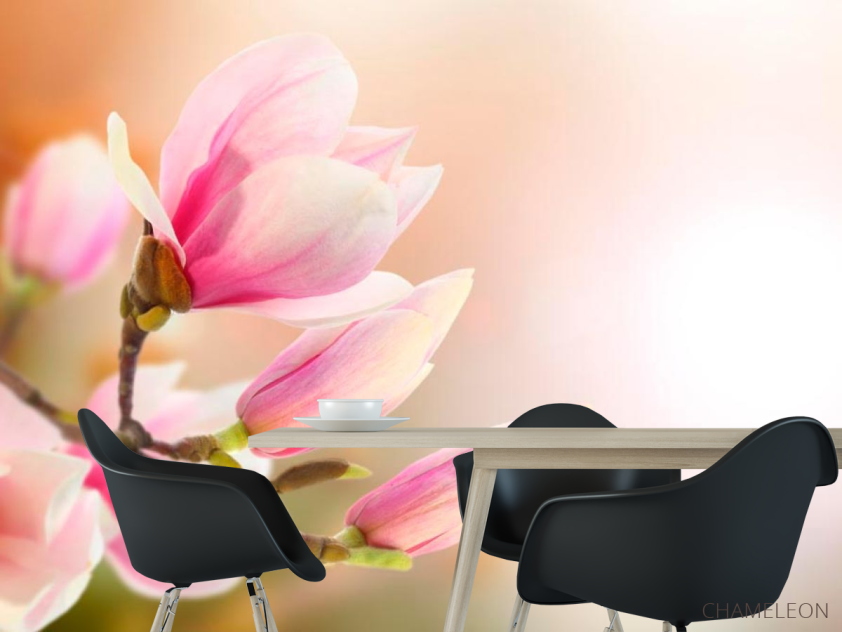 Фотошпалери Квіти розпустилися навесні - 1