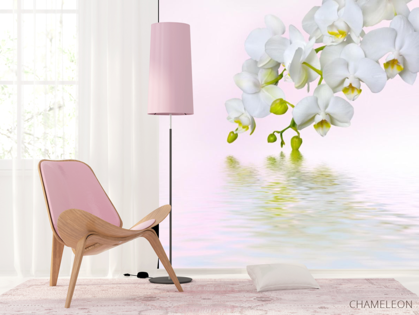 Фотообои белая орхидея над водой - 4