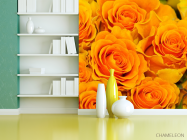 Фотошпалери Троянди жовтого відтінку - 3