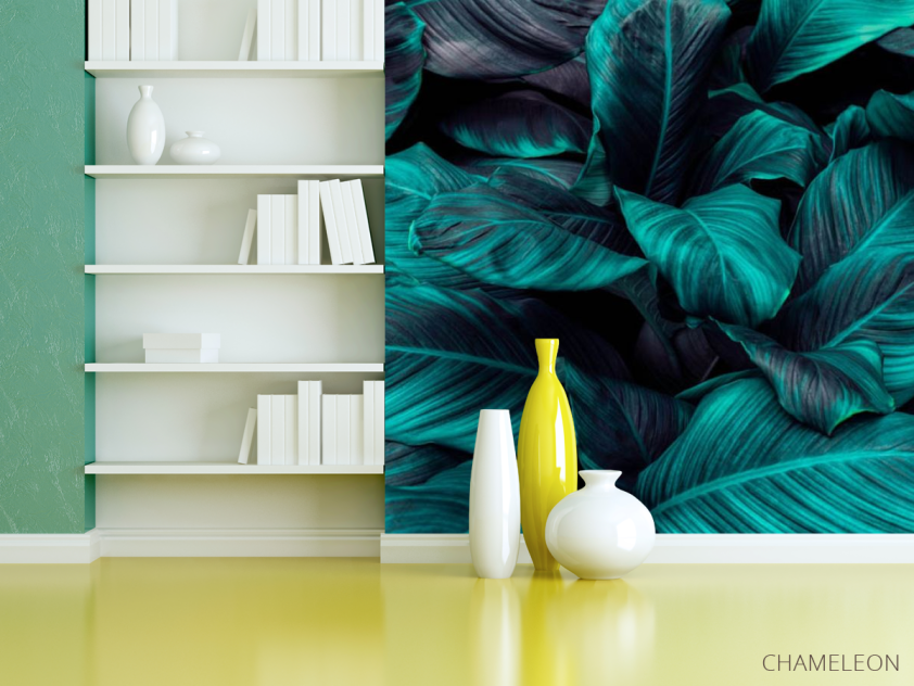 Фотошпалери Темно-зелене листя - 3