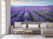 Фотообои лавандавое поле - 3
