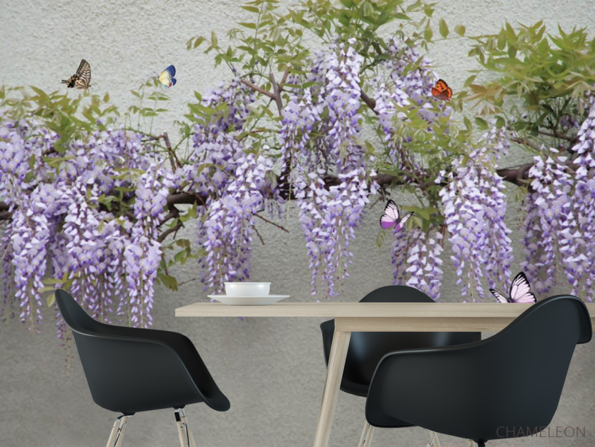 Фотошпалери Гліцинія - 1