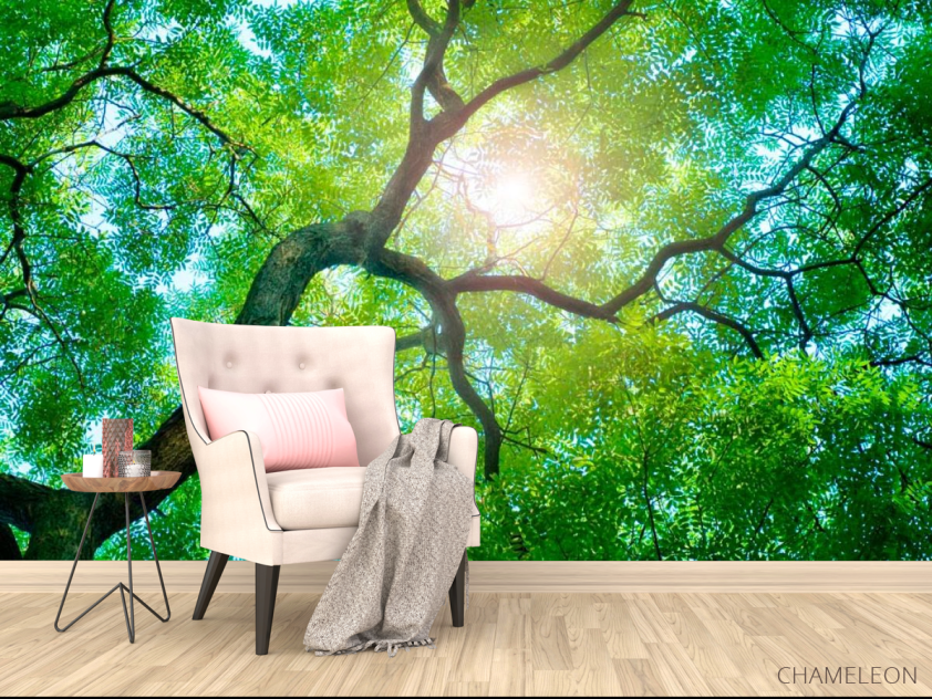 Фотообои Дерево, солнце - 4