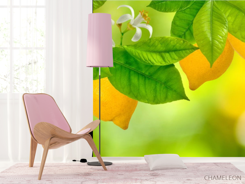 Фотошпалери Лимон - 4