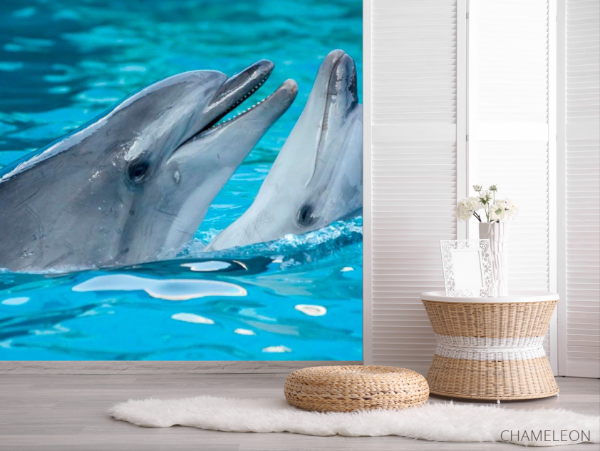Фотошпалери Ніжність дельфінів - 2