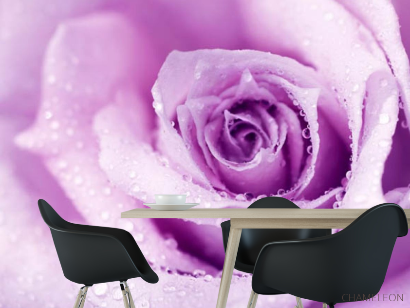 Фотошпалери троянда - 1