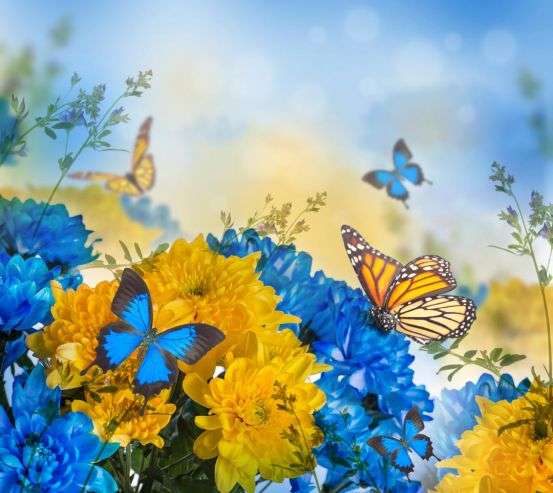 Фотошпалери блакитно-жовті квіти і метелики Фотошпалери блакитно-жовті квіти і метелики 20903