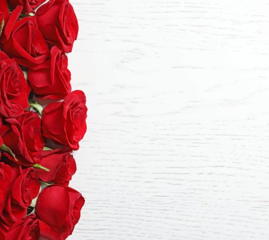 Фотошпалери червоні троянди на білому тлі 21648