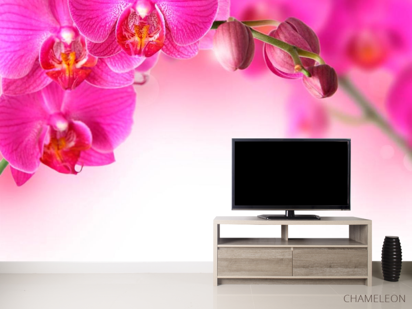 Фотообои Веточка орхидей розовых - 2