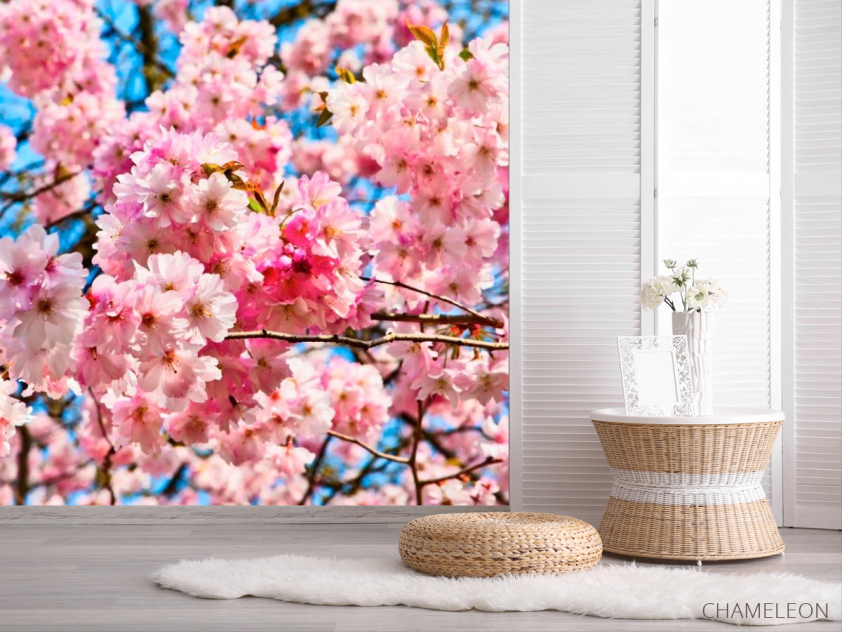 Фотошпалери Цвітіння рожевого дерева - 2