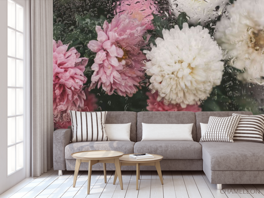 Фотообои Хризантемы с каплями дождя - 3