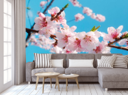 Фотообои Цветы персика - 3