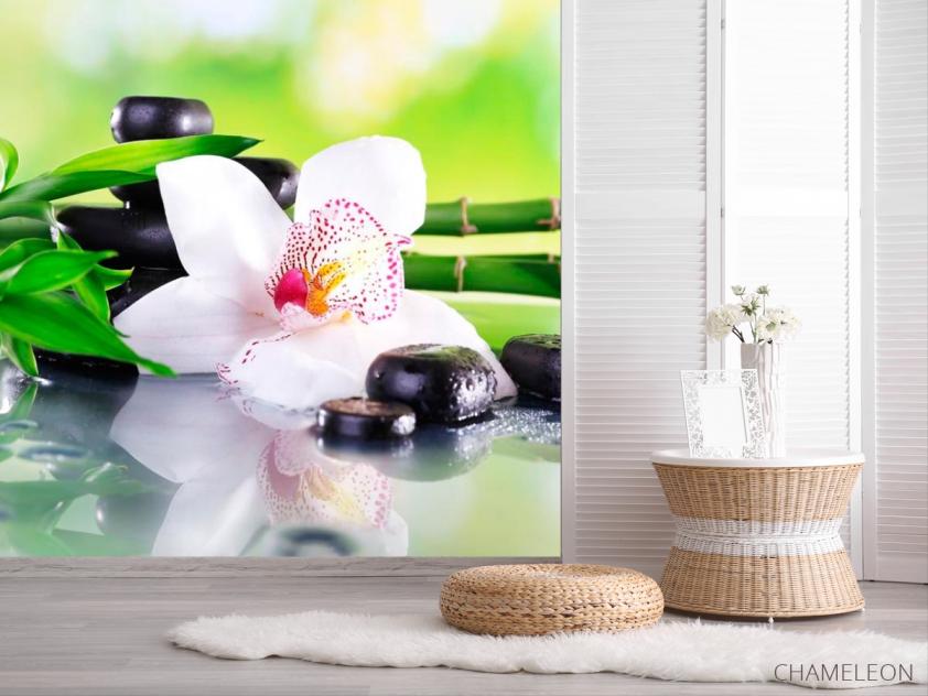 Фотошпалери Квітка орхідеї - 2