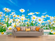 Фотообои Ромашки в поле - 1