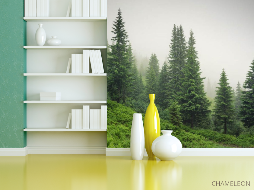 Фотошпалери ліс в тумані - 3