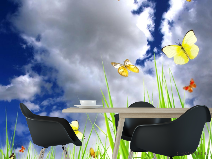 Фотошпалери небо з метеликами над травою - 1