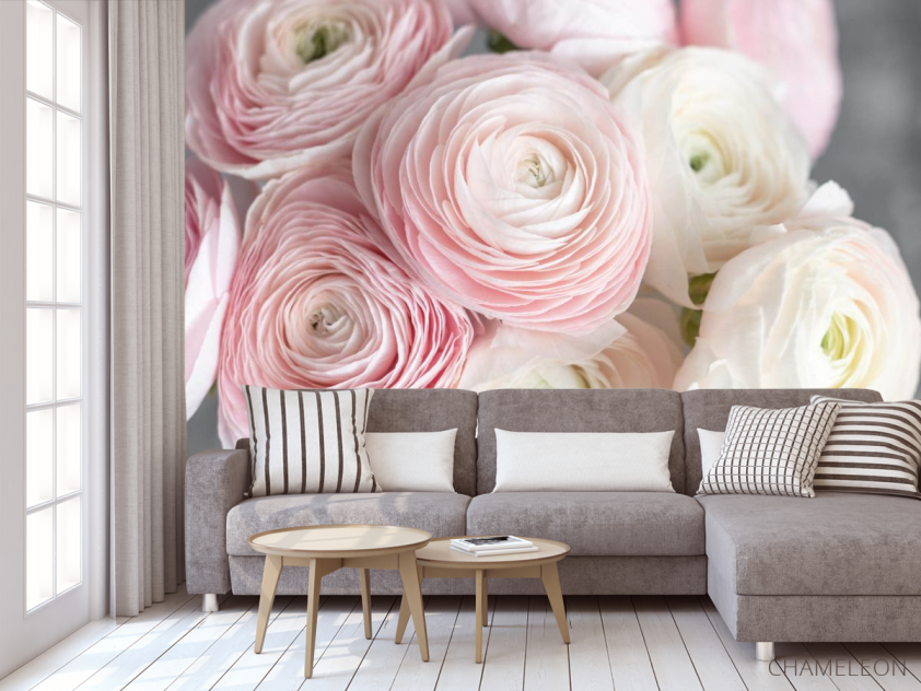 Фотообои Розовые рунункюлусы - 3