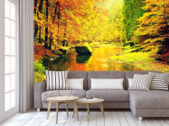 Фотообои желтый осенний лес - 3