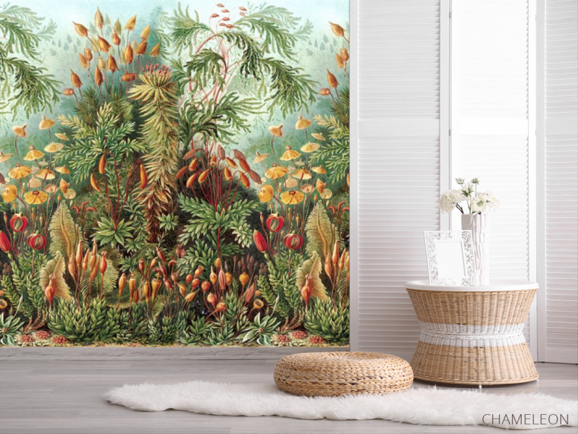 Фотошпалери ліс - 2